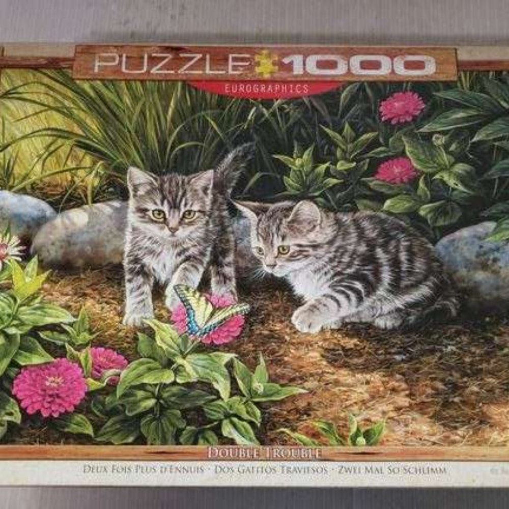1000 Piece Eurographics Puzzle - Kittens